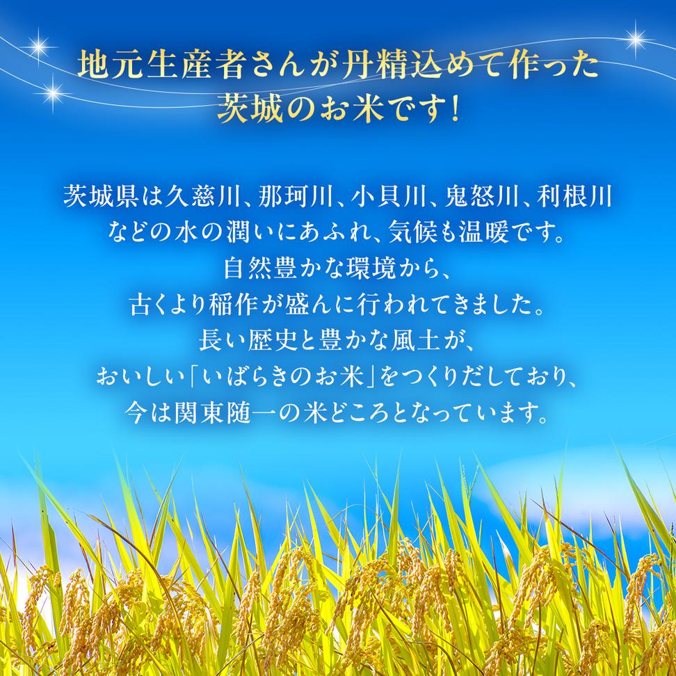 令和6年産 茨城県産 精米 もち米 ヒメノモチ 10kg （5kg×2袋）