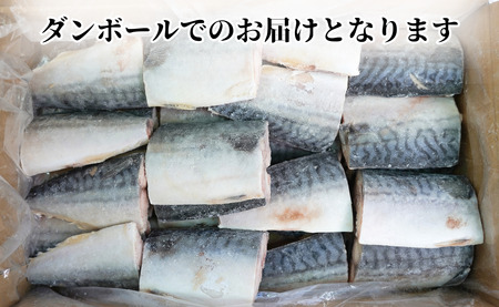 訳あり 厚切 熟成 塩サバ 切身 約3.5kg 【 鯖 】 カネジョウ大崎