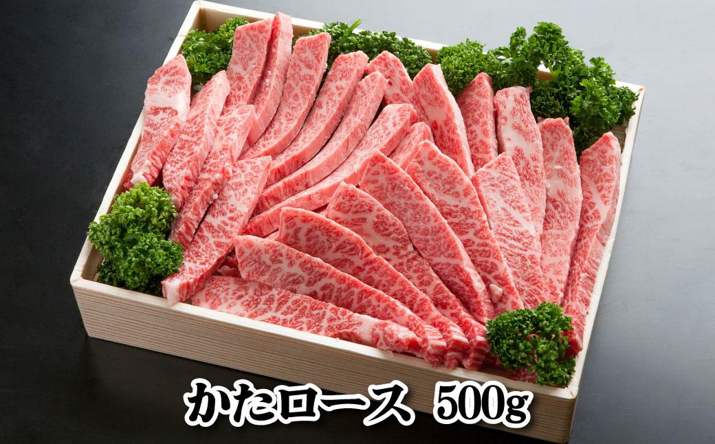 神戸牛 焼肉セット 1000g TKYS5 [1214]