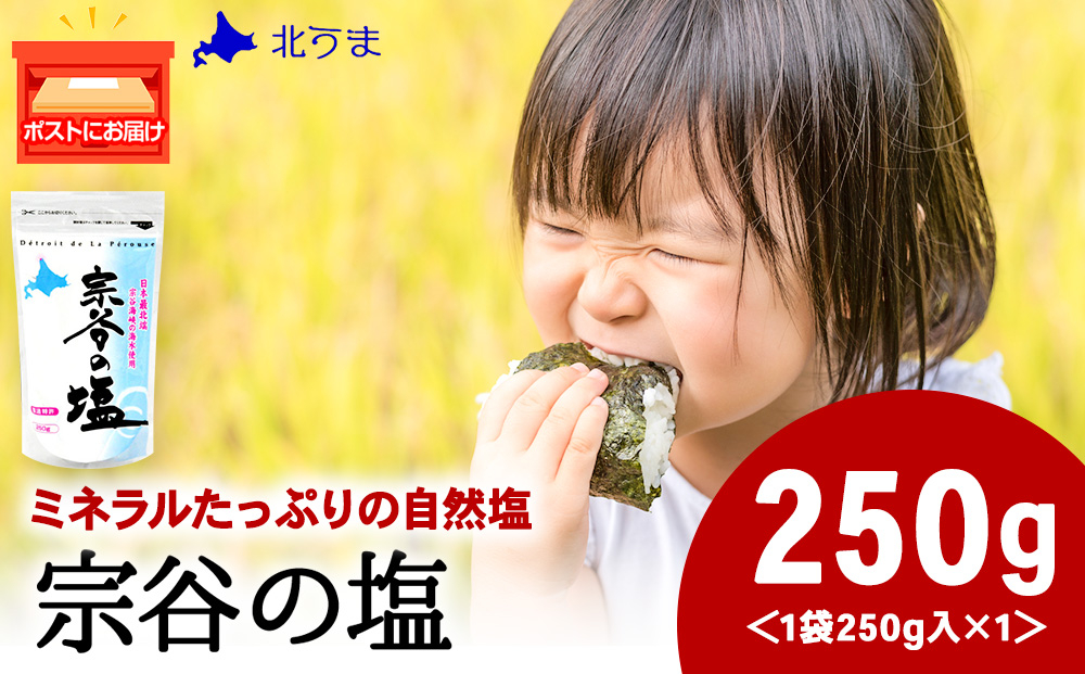 
            稚内ブランド認定品 宗谷の塩250g×1袋
          