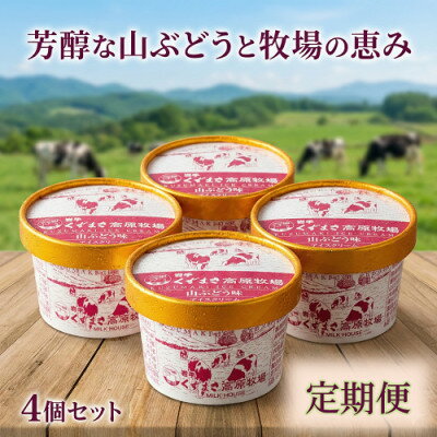 【ふるさと納税】【毎月定期便】くずまき高原牧場 アイスクリーム4個セット【山ぶどう味】全3回【配送不可地域：離島】【4078438】