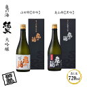 【ふるさと納税】 亀の海　純米大吟醸　山田錦【白吟】720ml×1 純米大吟醸 美山錦【黒吟】720ml×1 合計2本セット【 日本酒 大吟醸 純米 山田錦 先駆け 吟醸酒 伝承の吟醸造りシリーズ タンク酒 長野県 佐久市 】