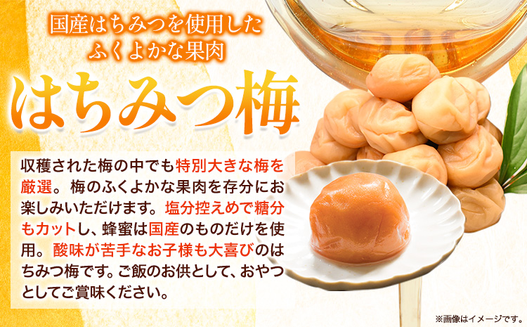 高級南高梅はちみつ梅・しそ漬梅計1kg(各500g)網代模様仕上紀州塗箱入り澤株式会社《90日以内に出荷予定(土日祝除く)》梅干し---wsh_swknuhsk_90d_22_20000_1kg---