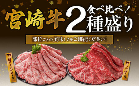 畜産農家応援! 宮崎牛スライス2種セット250g×2パック+豚肉ハンバーグ100g×4個_13-N201-ESH_(都城市) 宮崎県産宮崎牛 肩ローススライス 宮崎牛ウデ又はモモスライス すき焼き し