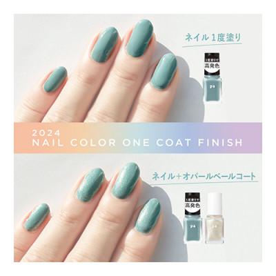 ふるさと納税 岸和田市 pa nail collective ネイル4種セット3 |  | 02