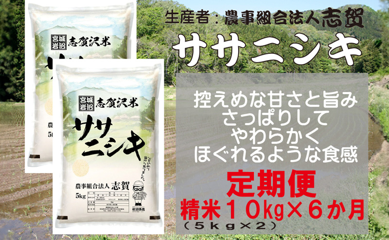 【令和7年度産新米】米 定期便 6ヶ月 ササニシキ 10kg (5kg×2) 志賀沢米 岩沼産 お米 白米 精米 ブランド米 単一原料米 5キロ 10キロ こめ おこめ ご飯 ライス ささにしき 宮城県産ササニシキ 東北 宮城県産 宮城米 米定期便 6回 半年 お楽しみ 宮城 宮城県 岩沼市