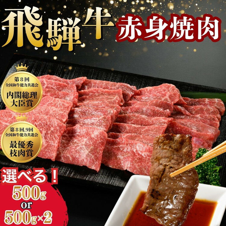 【ふるさと納税】＼選べる内容量／飛騨牛 赤身焼肉 | 牛肉 国産 和牛 牛 ブランド牛 国産牛 焼肉用 焼き肉用 赤身 赤身肉 お中元 お歳暮 ギフト 贈答用 ご褒美 贅沢 お取引せ グルメ 年末 年始 BBQ 飛騨 ※北海道・沖縄・離島への配送不可