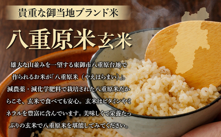 【12回定期便】八重原米10kg（5kg×2袋）玄米