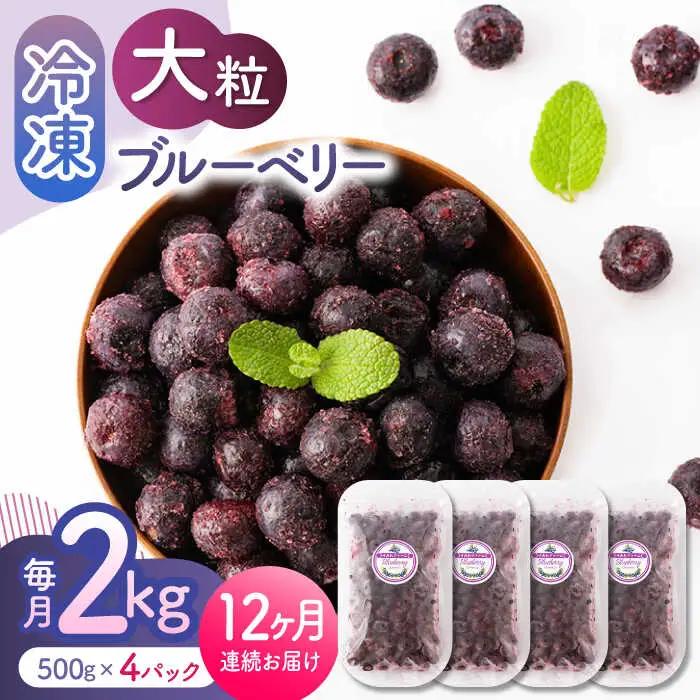 先行予約 【12回定期便】大粒 冷凍ブルーベリー 約2000g（約500g×4pc）【すみれファーム】果物 フルーツ くだもの 大粒 小分け 熊本県産ブルーベリー [ZEP018]