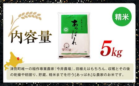 【令和8年産・早期予約受付】北海道産 津別町あっぱれ米（精米）金印 5kg | 米 お米 新米 白米 精米 国産米 農家直送 産地直送 北海道 津別町 送料無料