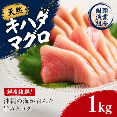 ふるさと納税 国頭村 【沖縄県産】天然キハダマグロ 1kg
