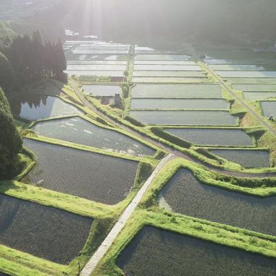 ふるさと納税 宍粟市 【令和7年産】新米　受付開始　播州コシヒカリ「飯戸の阜」白米5kg(生産年食味検査最高得点米)AJ7 |  | 02