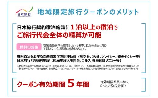 【福井県あわら市】 日本旅行 地域限定旅行クーポン【300,000円分】 ／ 旅行 宿泊 旅館 ホテル 宿泊券 チケット 北陸新幹線 観光 あわら温泉 北陸 福井県 あわら市 [aw095-w001]