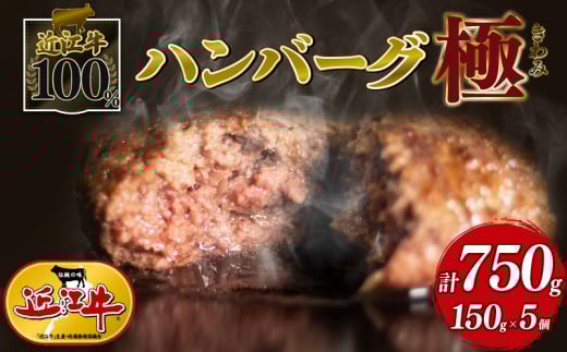 近江牛 100％ ハンバーグ 150g × 5個 黒毛和牛 ブランド 肉 三大和牛 贈り物 ギフト 滋賀県 竜王町 古株牧場 神戸牛 松阪牛 に並ぶ 日本三大和牛 ふるさと納税 