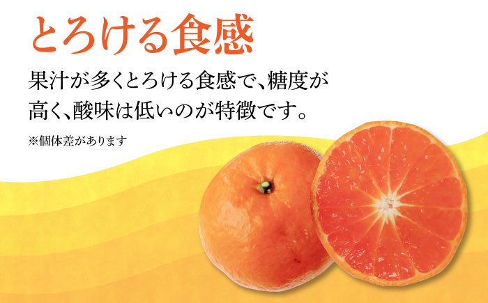 ＜ デコポン の子供＞ マコポン 4.5kg