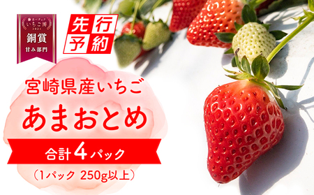 《2025年発送先行予約》【期間・数量限定】いちご「あまおとめ」 (250g×4トレイ・パック) いちご 果物 フルーツ