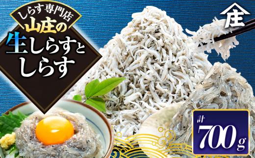 生しらす 200g 訳ありしらす干し 500g セット 冷凍 刺身 真空パック しらす干し 炒飯 パスタ ごはん 丼 サラダ 魚 料理 愛知県 南知多町 師崎 シラス しらす 小魚 魚貝 魚貝類 しらす シラス 海鮮 しらす丼 シラス丼 ふるさと納税しらすしらす おすすめ 大人気 南知多産しらす愛知県産しらす シラス しらす しらすごはん shirasu sirasu SIRASU 人気シラス