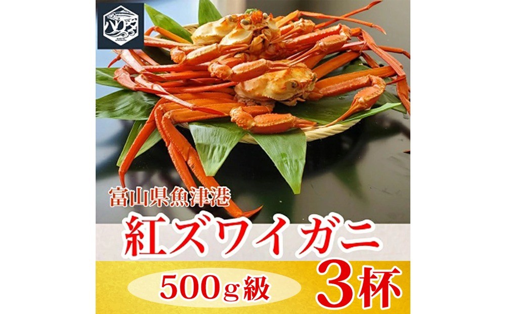 
                  【冷蔵】自社漁船直送！魚卸問屋の紅ズワイガニ 500g級×3ハイセット｜かに カニ 蟹 国産ずわい蟹 ずわいガニ 紅ズワイ蟹 紅ずわいがに 紅ずわい蟹 ボイル セットかにしゃぶ 魚貝類 魚介類 海鮮 鮮魚 新鮮 蟹飯 人気 豪華 ご褒美 贅沢 お取り寄せ グルメ カニ味噌 ※2026年9月～発送
                