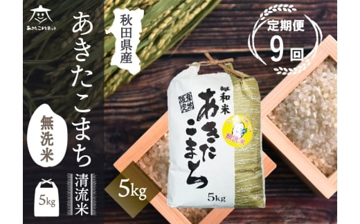 《定期便9ヶ月》あきたこまち 清流米 5kg 【無洗米】秋田市雄和産 [秋田県産 あきたこまち お米 精米 定期便 5kg 5キロ]