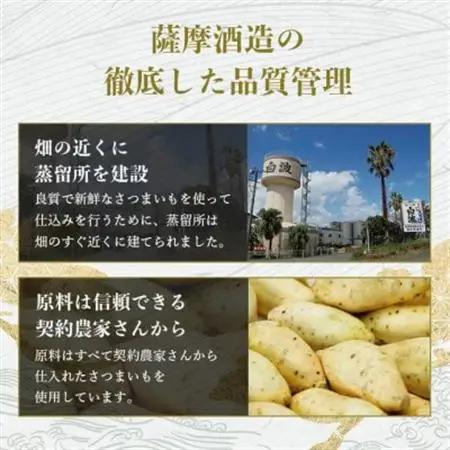 【本格焼酎】きばいやんせ【鹿児島限定】 900ml×6本 B5-5_酒・アルコール 芋焼酎 焼酎 _【配送不可地域：離島】【1573826】