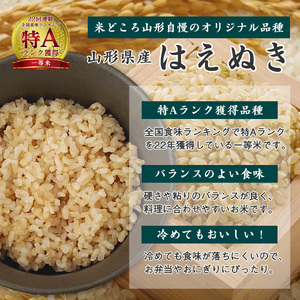 【令和8年産】《6回定期便：10月開始偶数月コース》 はえぬき 玄米 合計60kg （10kg（5kg×2袋）× 6回） 山形県産 【 新米 】 120-C-JF017-偶数月-R8