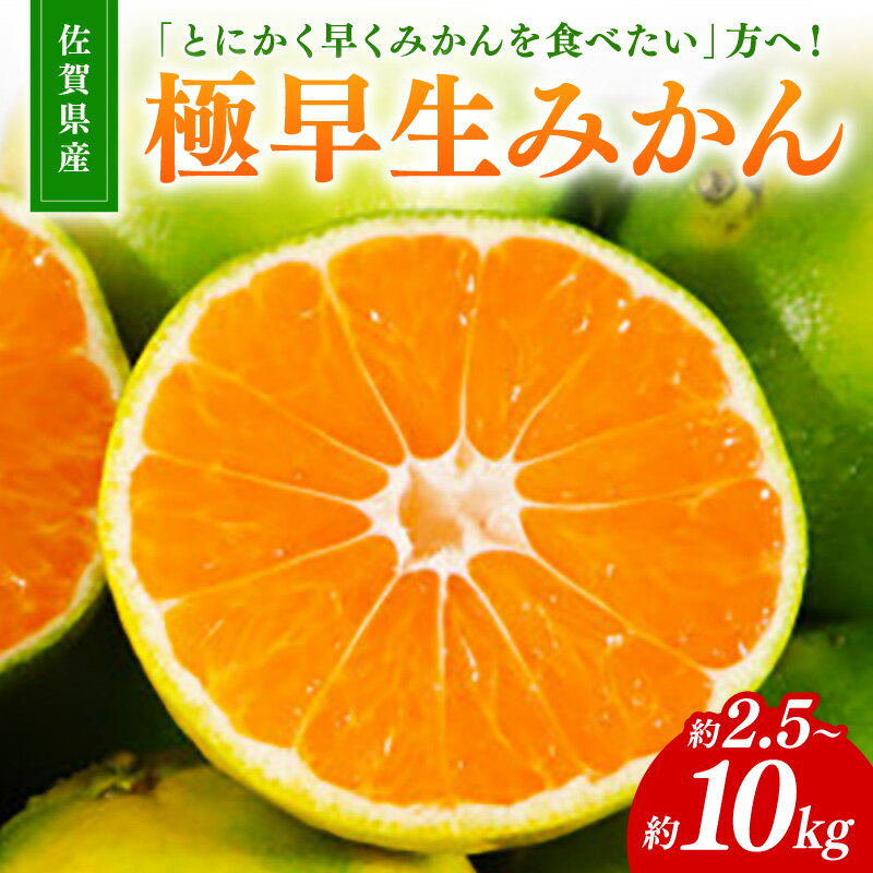 【ふるさと納税】極早生みかん＜内容量が選べる／約2.5kg 約5kg 約7kg 約10kg＞【 果物 柑橘 極早生 みかん 佐賀みかん オレンジ くだもの 国産 ふるさと納税 フルーツ 】