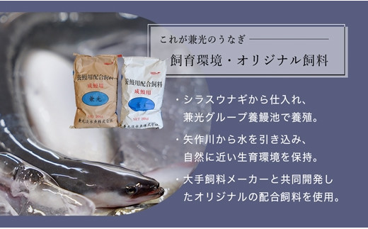 大満足1kg　愛知県三河一色産　うなぎ蒲焼き（5尾～7尾）・U040-30