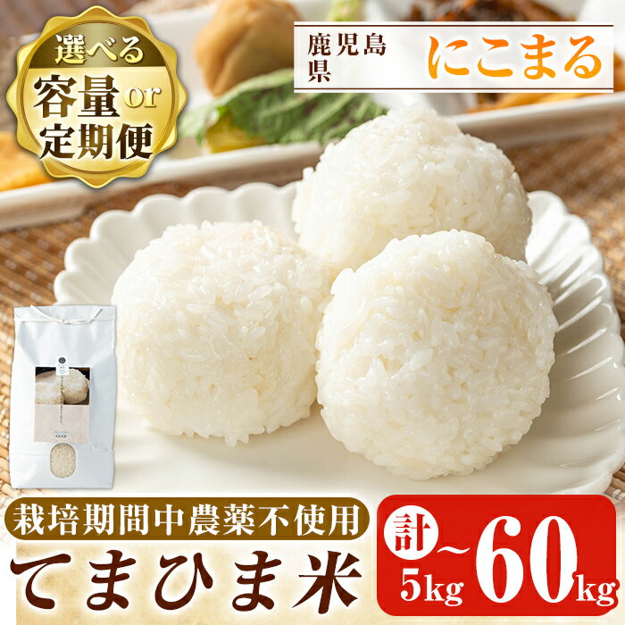 【ふるさと納税】令和7年産 容量・定期便が選べる！てまひま米(品種:にこまる)(計5kg・計10kg・計20kg・3回定期便・6回定期便・12回定期便)霧島市 お米 精米 白米 こめ コメ ご飯 栽培期間中農薬不使用【末蜜農園】