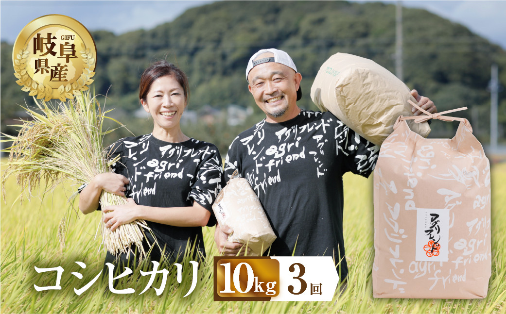 
            【 3回 定期便 】 令和7年産 先行予約 コシヒカリ 10kg × 3回 3か月 米 こめ ごはん 白米 岐阜県産 本巣市 お米 精米 甘い 和食 寿司 アグリフレンドホリグチ
          