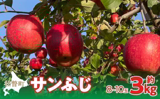 ＜2025年12月上旬よりお届け＞北海道壮瞥町　りんご　品種名「サンふじ」8～10玉約3kg SBTF006