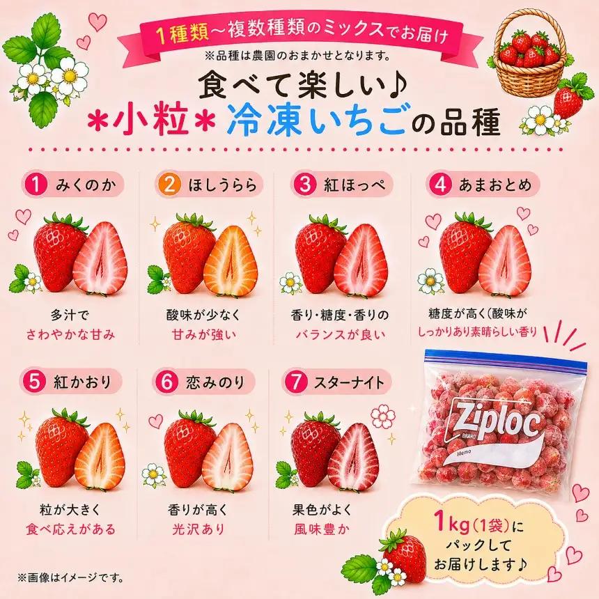 【訳あり】 小粒 完熟・急速 冷凍いちご 4kg | 渡邉いちご園 君津市 
