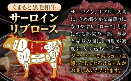 くまもと黒毛和牛 サーロイン リブロース ローススライス 600g 牛肉 冷凍 《30日以内に出荷予定(土日祝除く)》 くまもと黒毛和牛 黒毛和牛 スライス 肉 お肉 しゃぶしゃぶ肉 すき焼き肉 すき