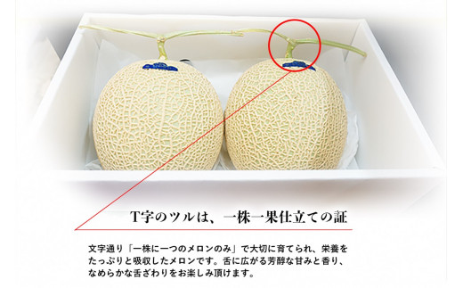 糖度15度以上！京丹後砂丘メロン2玉入り　（2Ｌサイズ以上）／北畿水産(2026年6月下旬～発送) 国産 2玉 フルーツ 果物 メロン 砂丘メロン 甘い 糖度 京都 ふるさと納税 フルーツ ふるーつ 