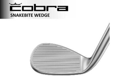 cobra SNAKEBITE WEDGE ダイナミックゴールド105 S200 コブラ ゴルフクラブ ゴルフ用品 ヴァーサタイル　54°