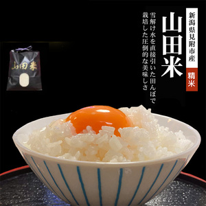 【ファーム喜左ヱ門】令和7年産 山田米 精米（白米)　5kg