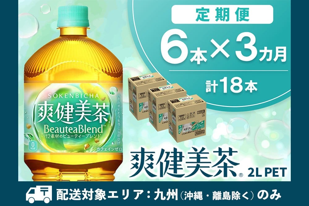 
            【九州内配送】【3か月定期便】爽健美茶 2L×6本(1ケース)【コカコーラ カフェインゼロ 香ばしい おいしい ブレンド茶 お茶 ハトムギ 玄米 大麦 ドクダミ ハブ茶 チコリー 麦芽 植物素材 飲料 ペットボトル】K090529
          