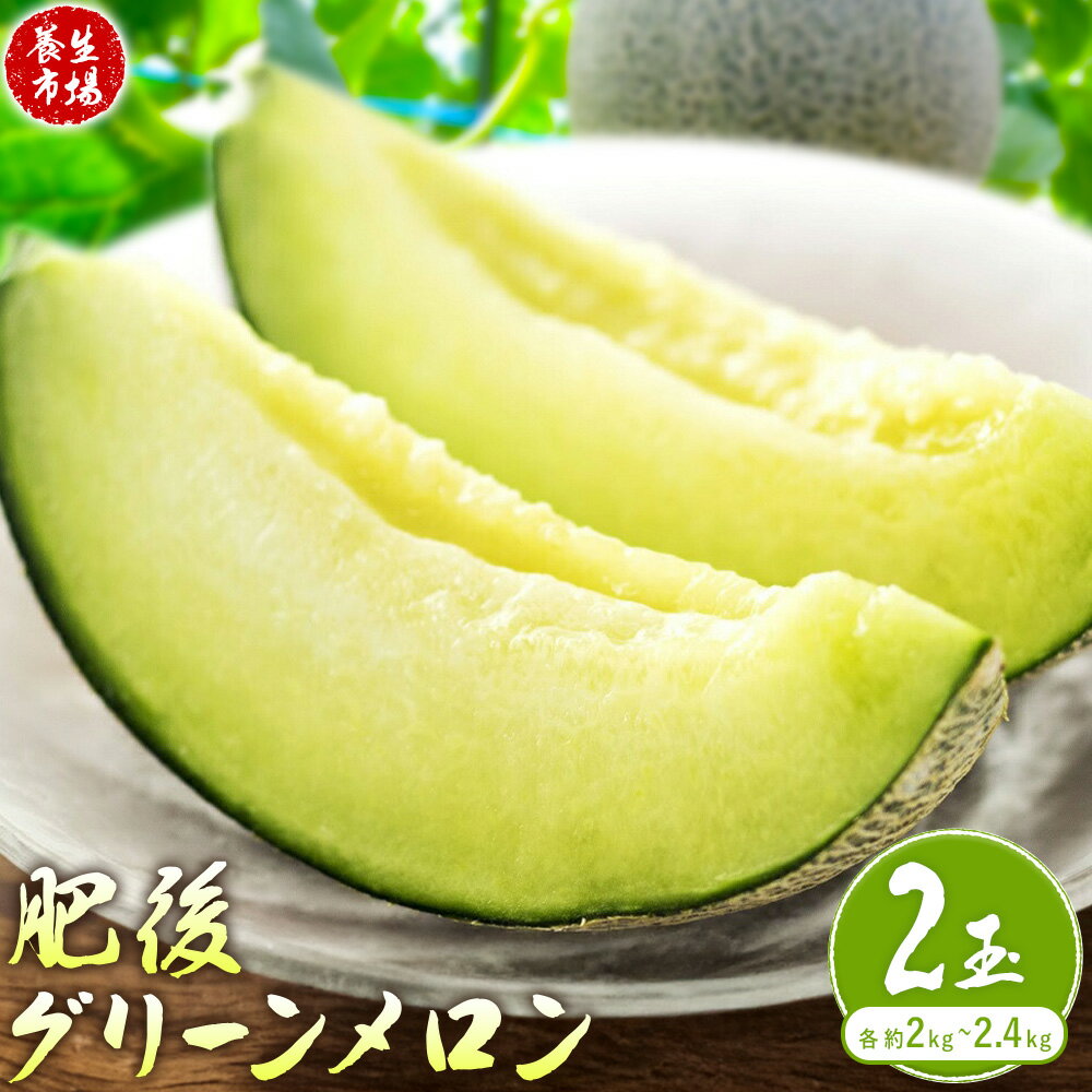 【ふるさと納税】肥後グリーンメロン 約2-2.4kg × 2玉【養生市場】 有限会社七城町特産品センター《2026年5月中旬-6月中旬頃出荷》熊本県 菊池市 メロン グリーンメロン 果物 フルーツ 熊本県産 送料無料