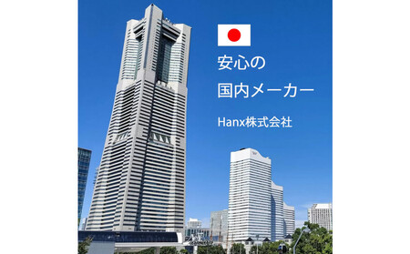 Hanx-Tech USBC DP1.2 変換アダプタ AOP0025