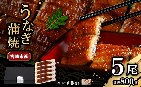 宮崎県宮崎市産　うなぎの蒲焼　約800g（約160g×5尾）タレ・山椒セット 国産 うなぎ 蒲焼き 5尾 鰻 ウナギ 蒲焼 うなぎ蒲焼 うなぎ蒲焼き タレ 山椒 冷凍 パック 電子レンジ レンジ ひつまぶし 鰻巻き 惣菜 お惣菜 おかず 化粧箱 化粧箱入り 父の日 母の日 丑の日 土用の丑の日 ギフト グルメ お取り寄せ