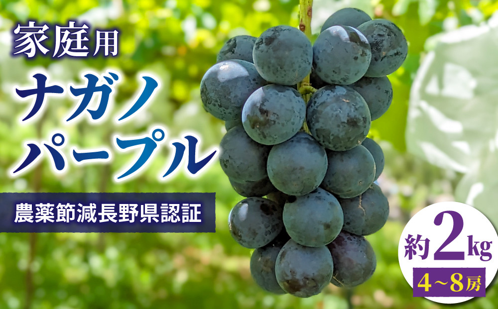 
            【先行受付2025年発送】家庭用ナガノパープル2kg（4~8房）農薬節減長野県認証｜東御こもだ果樹園  ※2025年9月上旬～9月下旬に発送予定
          