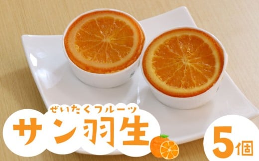 焼き菓子 サン羽生 5個 セット オレンジ シロップ漬け 焼菓子 お菓子 洋菓子 果物 デザート スイーツ 母の日 父の日 敬老の日 お中元 お歳暮 ギフト プレゼント 人気 ウィンズ・アーク 埼玉県 羽生市