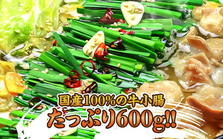 博多もつ鍋セット(九州味噌仕立て) 4～6人前 国産牛もつ600g＜株式会社ベネフィス＞那珂川市[GED040]