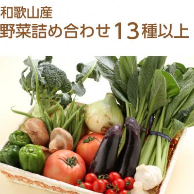 ふるさと納税 日高町 旬の新鮮野菜セット13種以上
