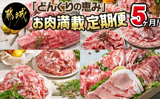 
【令和6年2月より寄附金額見直し（値上げ）予定】「どんぐりの恵み豚」お肉満載定期便(5ヶ月)_T60（5）-1102_(都城市) 万能スライスセット バラエティセット こま切れセット しゃぶしゃぶセットなど 冷凍 豚肉の定期便 とんかつ スライス しゃぶしゃぶなど
