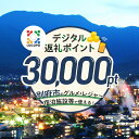 【ふるさと納税】LOCOPO デジタル 返礼ポイント 30,000ポイント レジャー アウトドア 体験 旅行 トラベル 宿泊施設 ホテル 観光 グルメ 飲食店 ディナー ランチ 焼肉 カフェ ゴルフ 温泉 おすすめ 大分県 別府市 送料無料