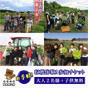 【ふるさと納税】＜農業公園ぽんぽこ村＞お手軽収穫体験！参加チケット（大人2名様＋子供無料） ふるさと納税 野菜 野菜セット 収穫体験 千葉県 木更津 送料無料 KAT004