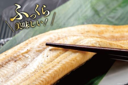 うなぎ 国産 静岡 うなぎ白焼 150g 以上× 2尾 タレ 山椒 付き [大井川うなぎ 静岡県 吉田町 22424463]