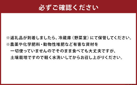 マイクロリーフミックス 約140g