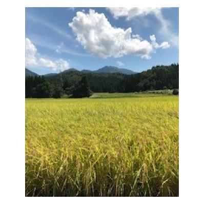 ふるさと納税 加茂市 加茂市産コシヒカリ 精米 5kg |  | 01