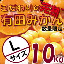 【ふるさと納税】＼農家直送／完熟 有田みかん 10kg Lサイズ 有機質肥料100%